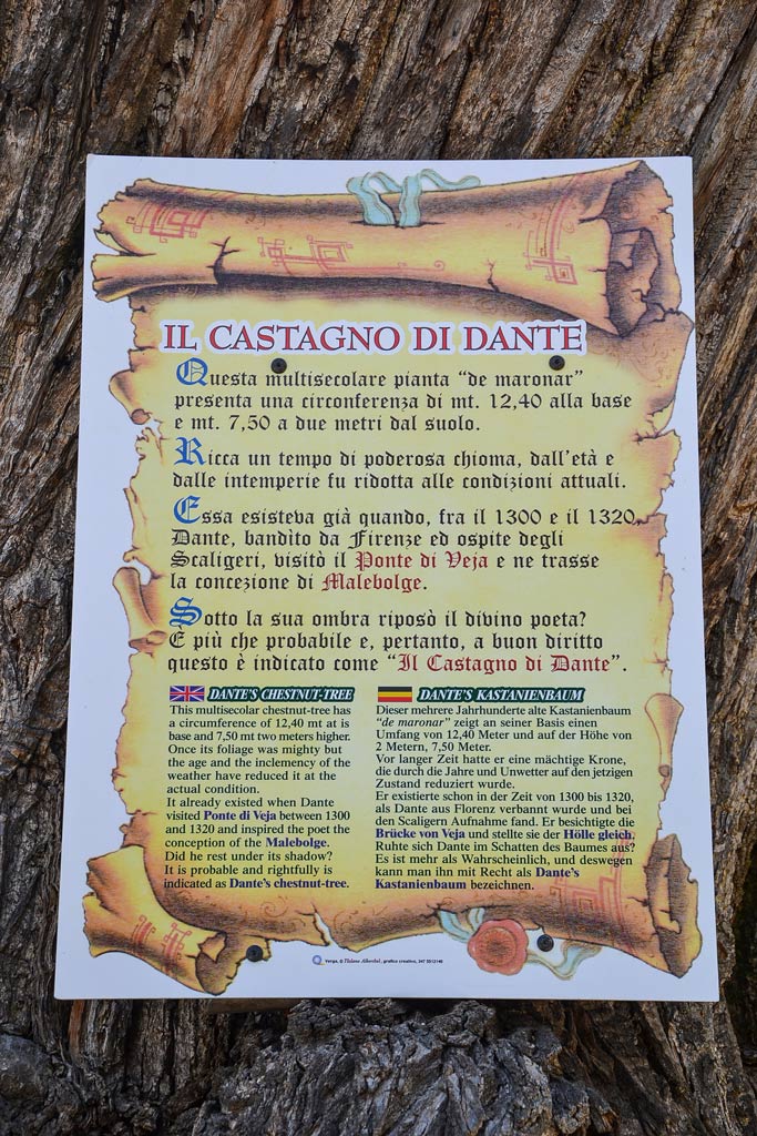 Il Castagno di Dante